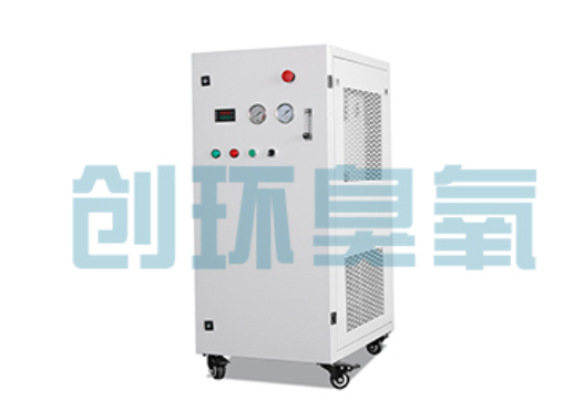 德州石斑鱼养殖水质调控完整指南：臭氧发生器配置与操作步骤