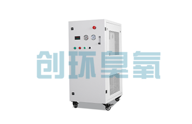 德州比传统换水更高效？臭氧发生器在石斑鱼养殖中的水质净化原理解析