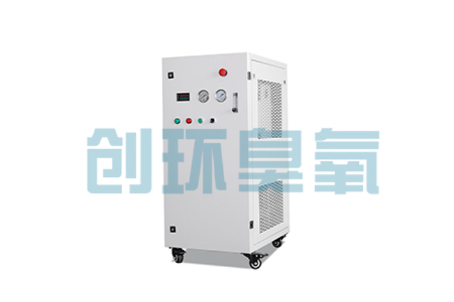 德州比传统换水更高效？臭氧发生器在石斑鱼养殖中的水质净化原理解析